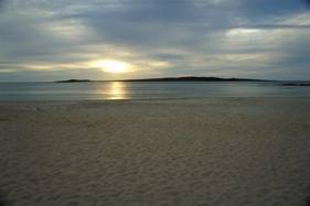 Bonito (Large).JPG