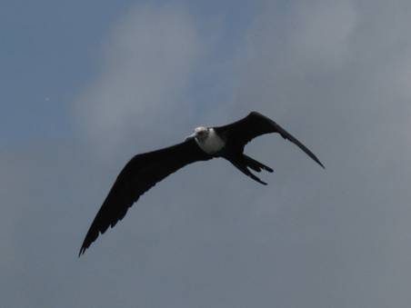 IMG_1470.JPG